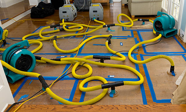 Professional Water Extraction technician working in Iowa, IA